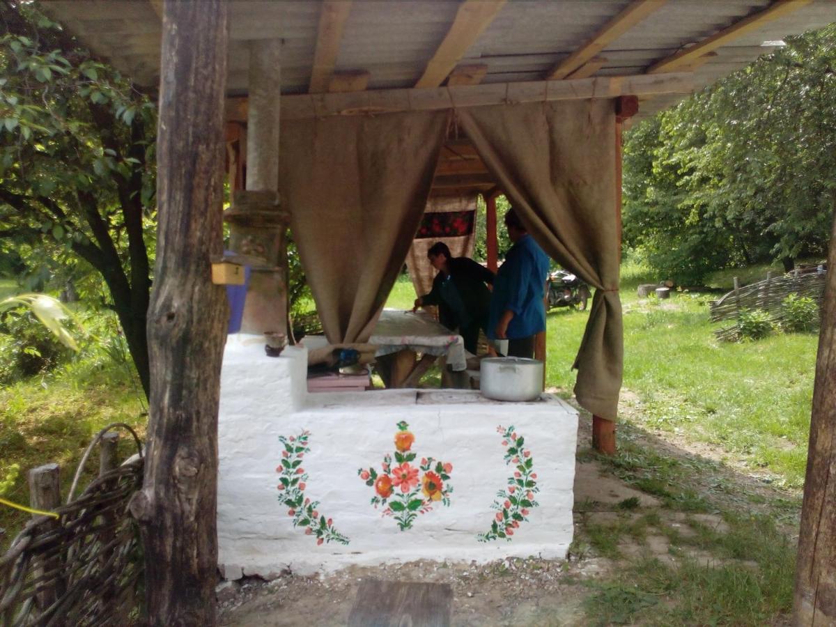 Maliovnytsya Guest House Dybintsy Luaran gambar