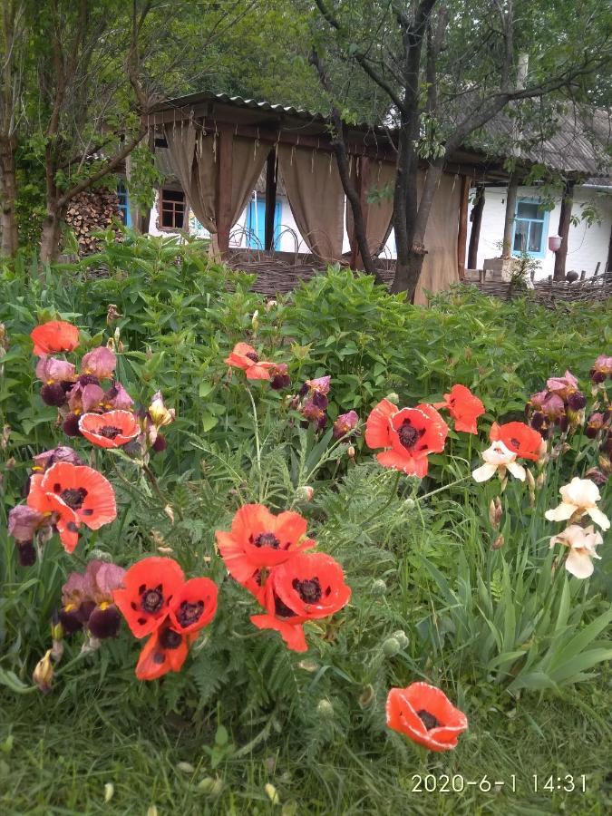 Maliovnytsya Guest House Dybintsy Luaran gambar