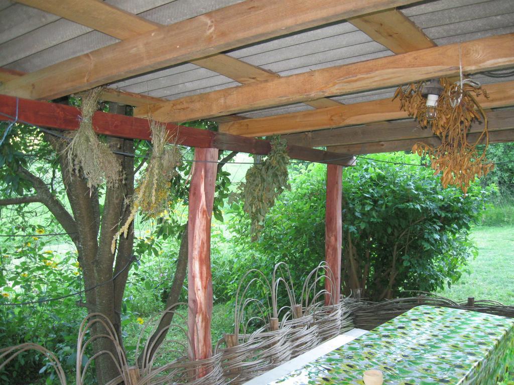Maliovnytsya Guest House Dybintsy Luaran gambar