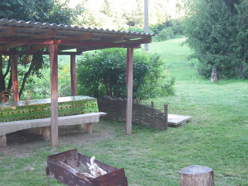 Maliovnytsya Guest House Dybintsy Luaran gambar