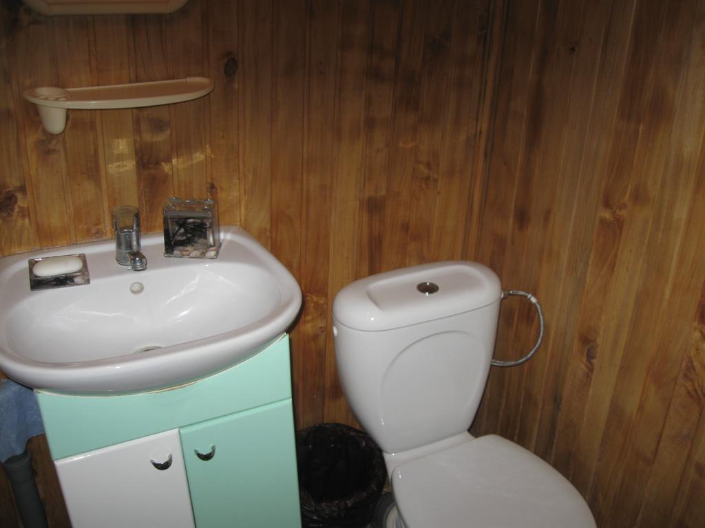 Maliovnytsya Guest House Dybintsy Luaran gambar