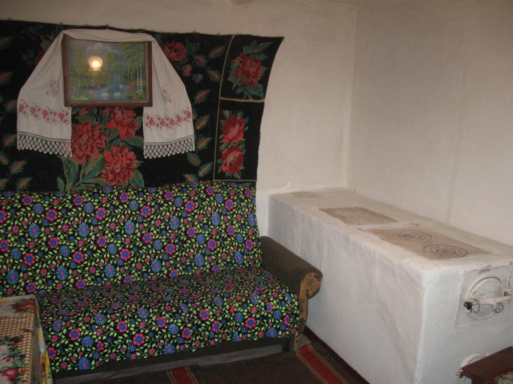 Maliovnytsya Guest House Dybintsy Luaran gambar