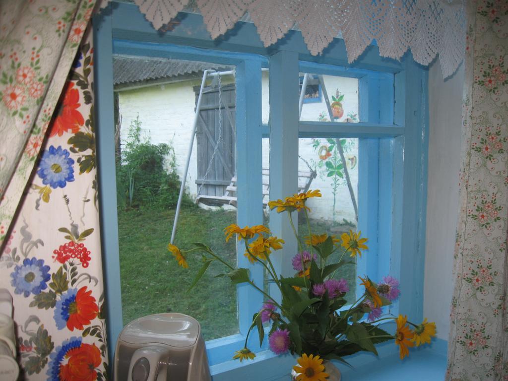 Maliovnytsya Guest House Dybintsy Luaran gambar