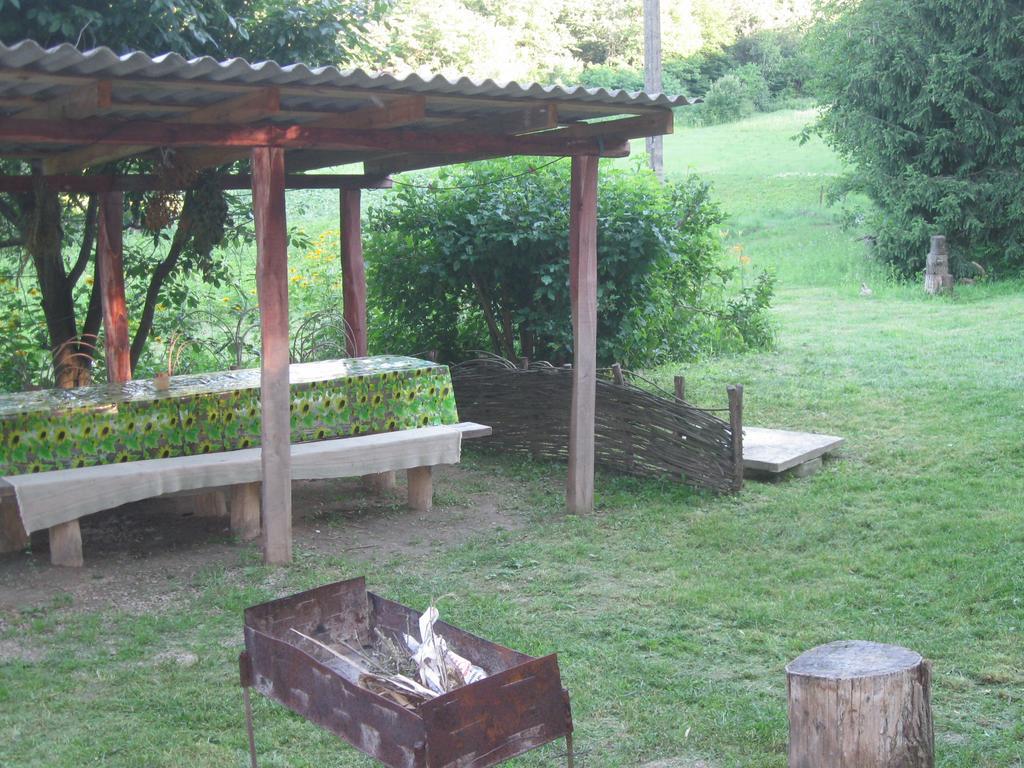 Maliovnytsya Guest House Dybintsy Luaran gambar