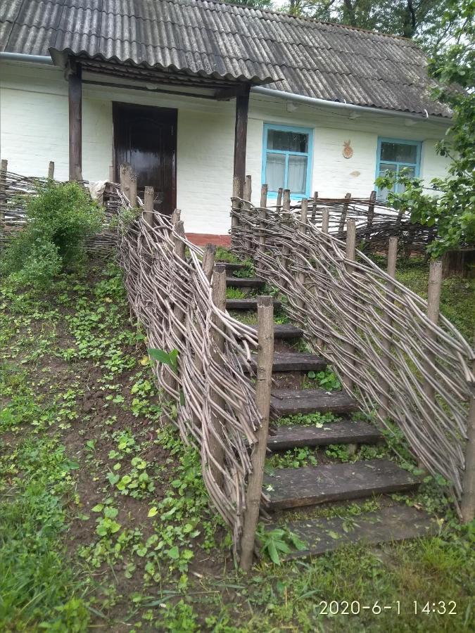 Maliovnytsya Guest House Dybintsy Luaran gambar